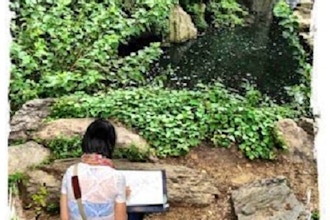 Fear-Free Beginners Drawing in Central Park